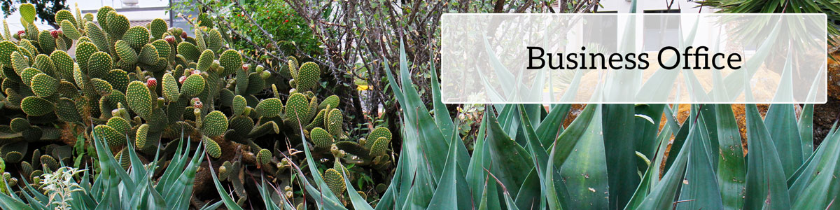 campus cactus garden