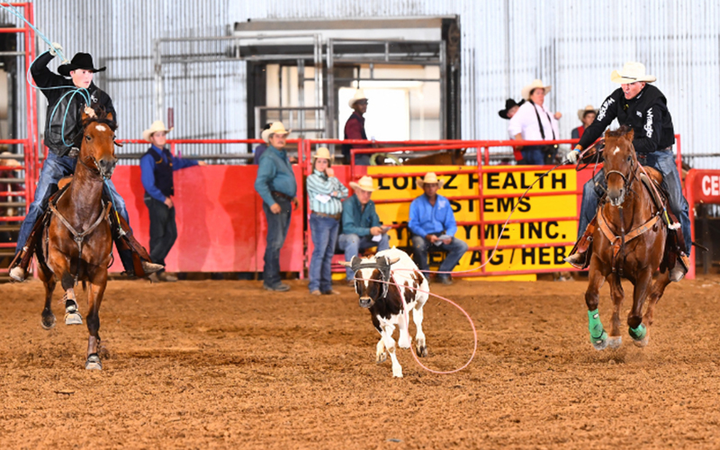 SWTJC header Reno Stoebner ropes a steer for partner Colt Brittian of Hill College  Photographer: Jennings Rodeo Photography